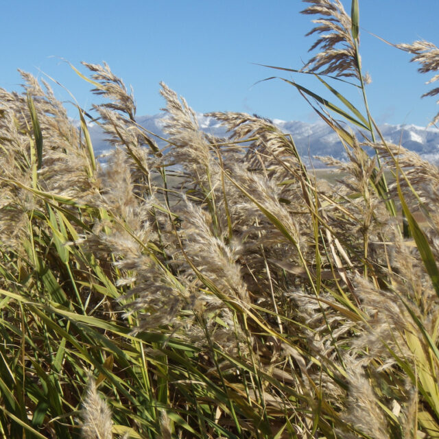 10160968504 5d156c9b89 b