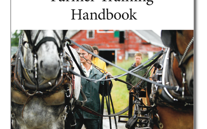 efiHandbook