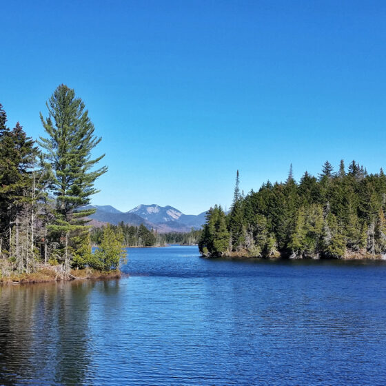 boreas