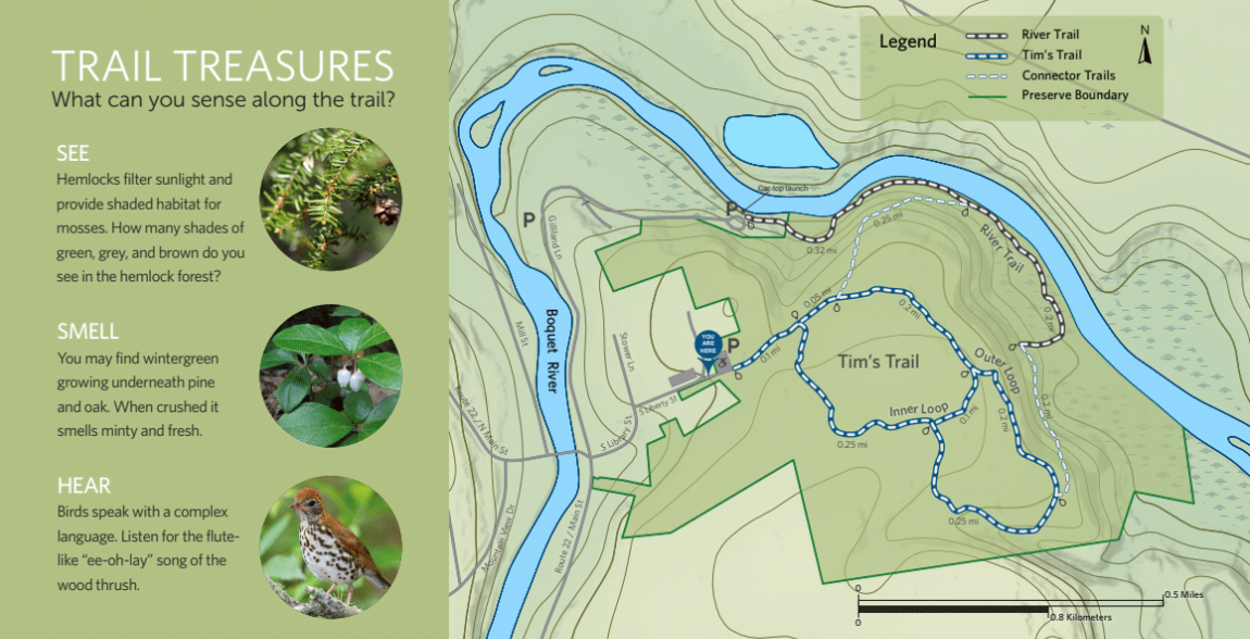 Screen Shot 2019 03 04 at 3.54.29 PM