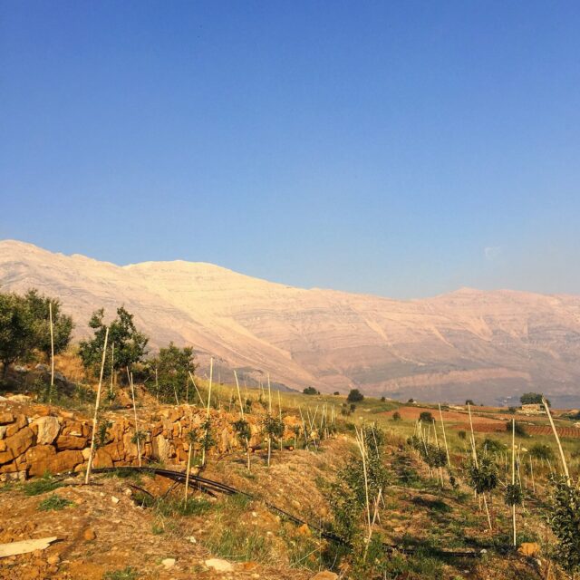 taste lebanon s rural escapes