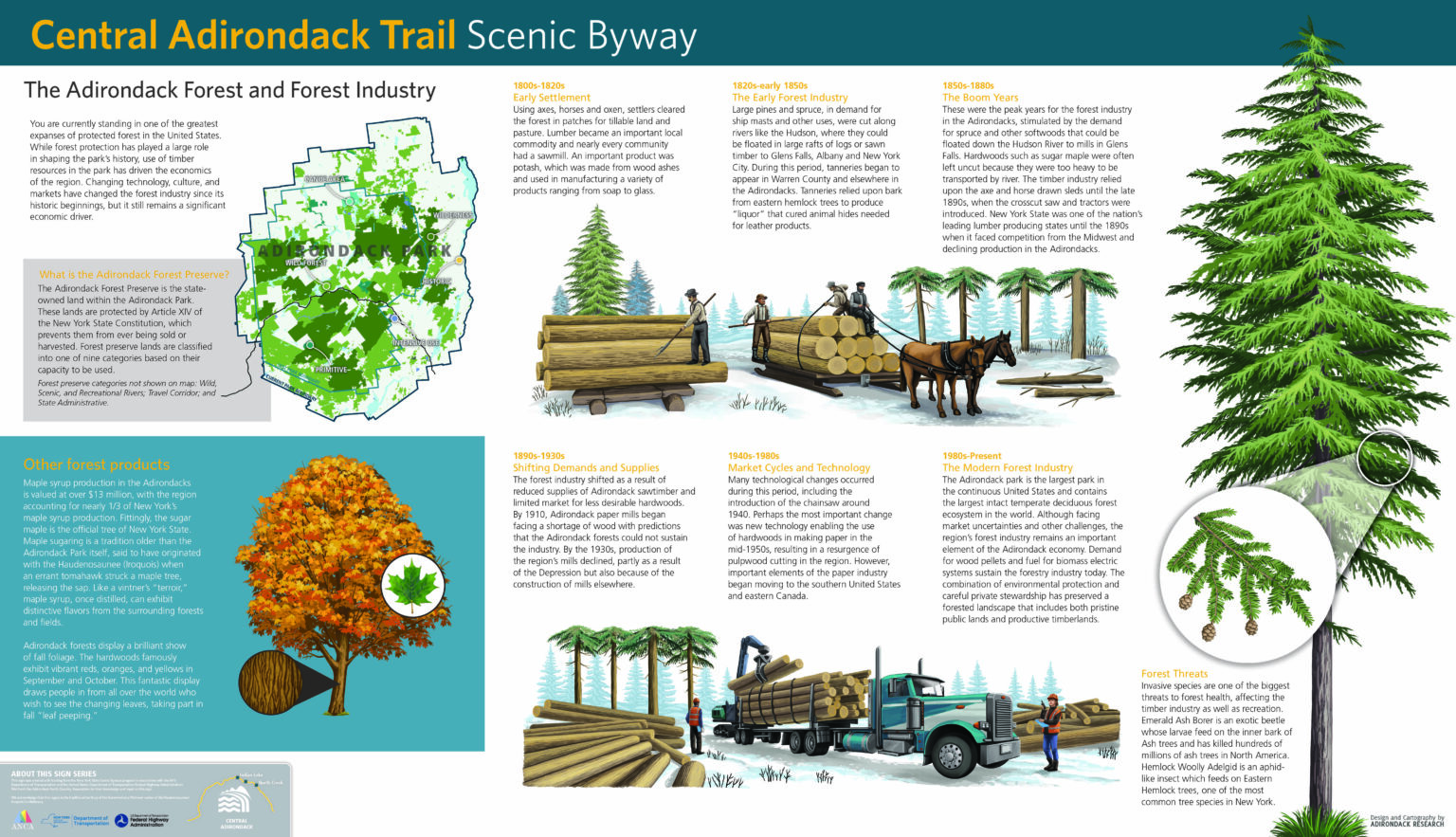 Forest Industry scaled