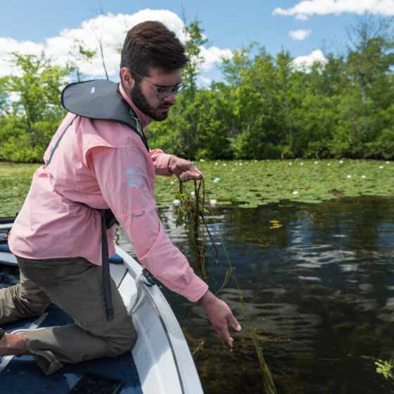 21622 Ballston Lake Josh Pulling Chestnut scaled