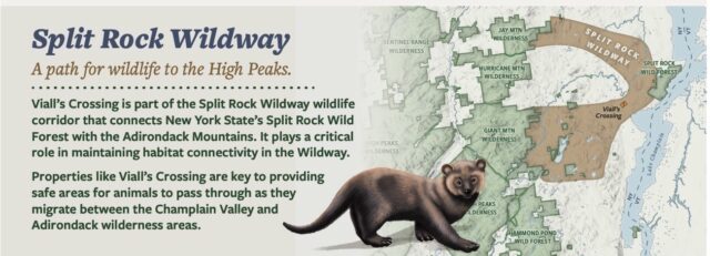 Vialls Crossing Final print 3