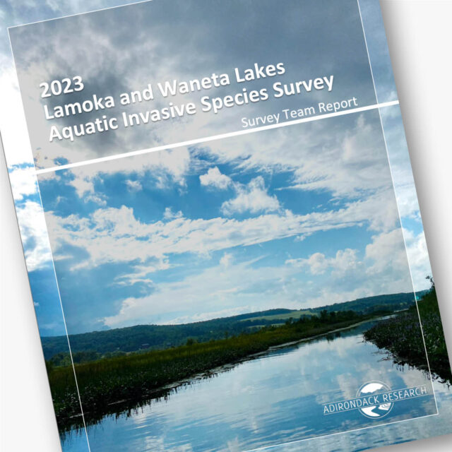 Website square Lamoka