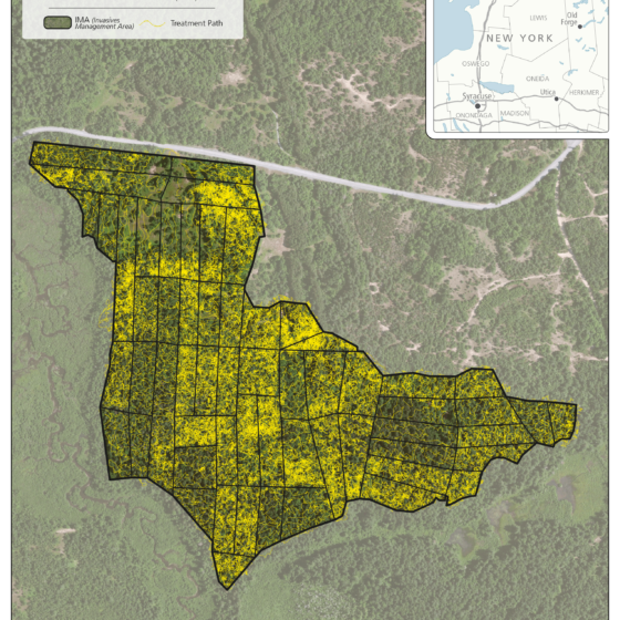 Fort Drum additional Area