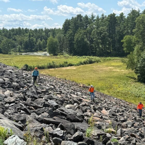 Three field staff with treatment equipment working across a rocky dam embankment beside woodland and grassland.