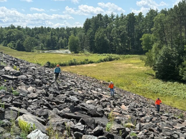 Three field staff with treatment equipment working across a rocky dam embankment beside woodland and grassland.